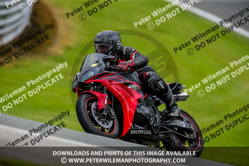 PJ Motorsport 2019;anglesey;brands hatch;cadwell park;croft;donington park;enduro digital images;event digital images;eventdigitalimages;mallory;no limits;oulton park;peter wileman photography;racing digital images;silverstone;snetterton;trackday digital images;trackday photos;vmcc banbury run;welsh 2 day enduro